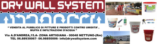 dry will system 1