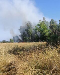 Incendio in via delle Grugnole a Nettuno, Protezione civile al Lavoro